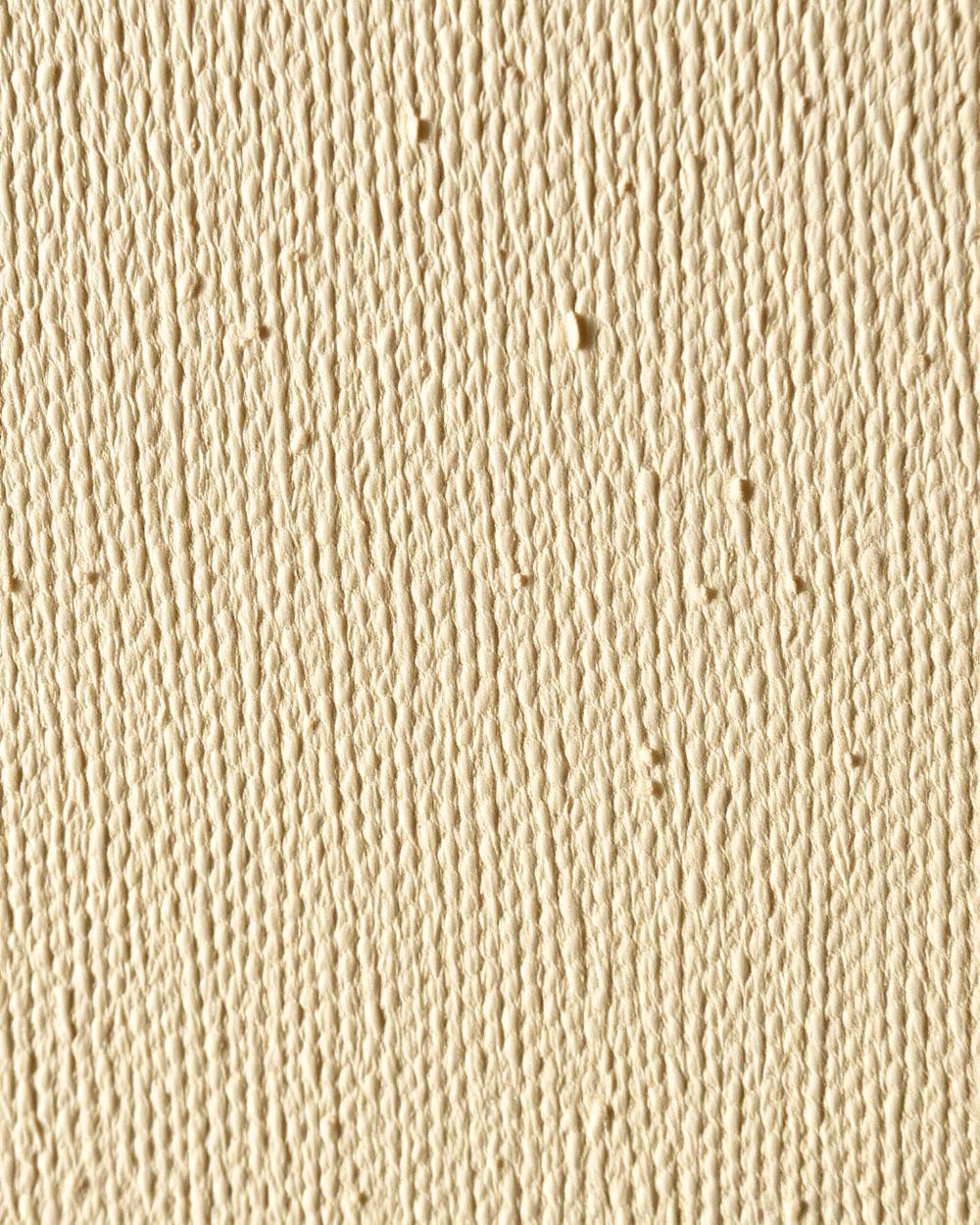 Close-up of a warm off-white textured painted surface in raking light
